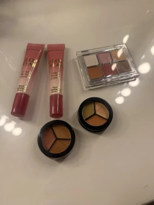 Ögonskuggspalett med sex nyanser - Ögonskuggspaletten från caia.                  Rouge från makeup Mekka.                                            Concealer från makeup store. 
