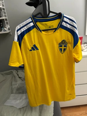 Sverige tröja - Helt oanvänd Sverige tröja, säljs pågrund av att tröjan är för stor för mig