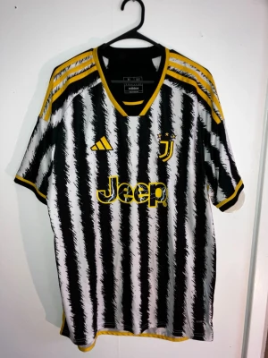 Juventus 23/24 tröja  - DM för fler bilder och frågor