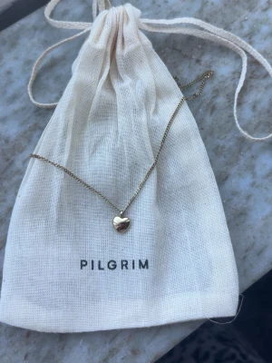 Hjärthalsband Pilgrim - Jätte fint Hjärthalsband från pilgrim köpt för 400kr💞