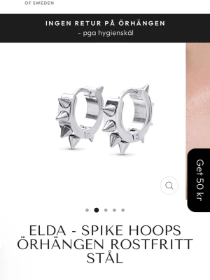 Edblad örhängen!💗 - Snygga hoops örhängen med pikar från Edblad💗💗 