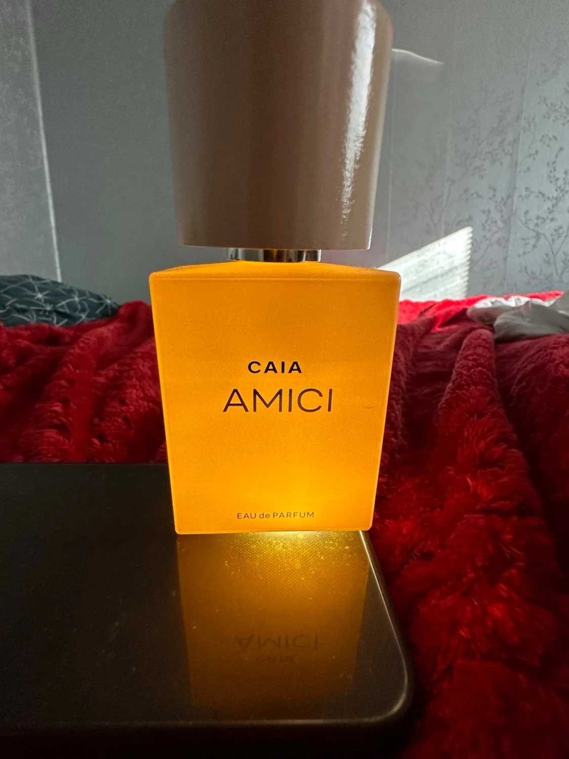 Caia Amici - 1