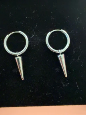 Säljer dessa örhängena från Edblad  - Säljer ett silvriga nit örhängen från Edblad med diamanter på. Snabb affär!💓