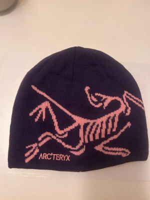 Lila mössa från Arc'teryx - Säljer en snygg lila mössa från Arc'teryx med ett stort rosa dinosaurie-skelett tryck på framsidan och broderad logga. Mössan är tunn och stretchig, perfekt för kalla dagar. Materialet känns mjukt och följsamt.