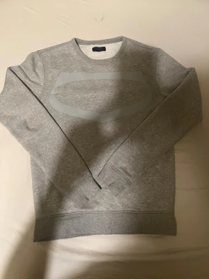 Grå sweatshirt med tryck - Snygg grå sweatshirt med ett stort, stilrent tryck framtill. Tröjan har rund halsringning, långa ärmar och ribbade muddar vid ärmslut och nederkant. Perfekt för en avslappnad och trendig look.