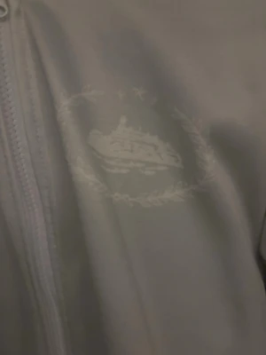 Ljusgrå hoodie från Corteiz - Snygg ljusgrå hoodie från Corteiz med dragkedja framtill och stor logga på ryggen. Hoodien har en huva och detaljerat tryck både fram och bak. Perfekt för dig som gillar streetwear och vill sticka ut.