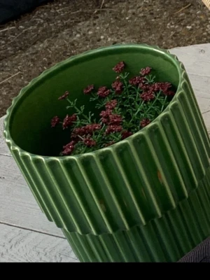 Grön räfflad kruka i keramik - Säljer en stor grön kruka i keramik med räfflad yta och cylinderform. Perfekt för både inomhus- och utomhusväxter. Krukan har en djup grön färg och modern design som passar i de flesta hem.
