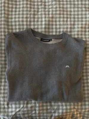 Grå sweatshirt från J.Lindeberg - En stilren grå sweatshirt från J.Lindeberg med rund halsringning och diskret logga broderad på bröstet. Tröjan har långa ärmar och mjukt material.