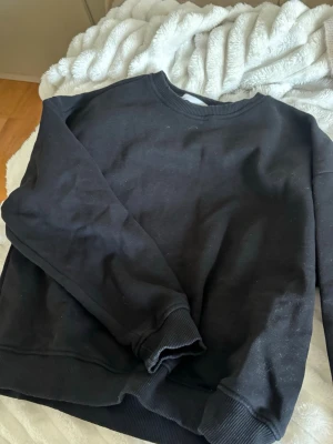 Sweatshirt  - Jätte fin 