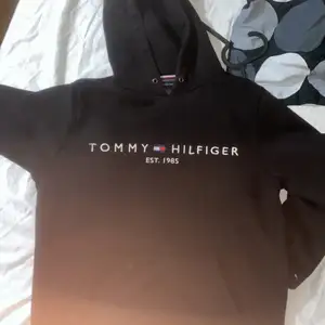 Säljer en av mina Favorita hoodies på grund av att jag har lite svårt med ekonomi, tröjan är i topp skick tommy hilfiger  