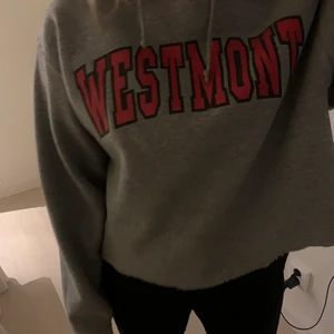 Vintage hoodie - Säljer denna as snygga hoddie då den inte kommer till användning längre! Storlek L men jag brukar vanligtvis ha storlek S! Passar från Xs-M!!