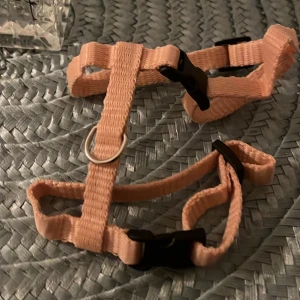 Sele (katt, kanin) - Fin sele, aldrig använd, funkar bra till kaniner, katter!