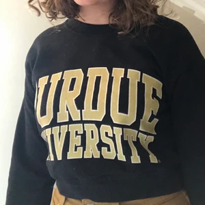 Croppad sweatshirt S - Inköpt på Beyond retro förra året, bra skick men något nopprig.