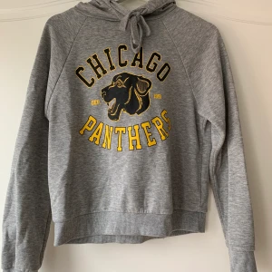 Fin grå hoodie från ginatricot - En snygg grå hoodie från ginatricot i storlek s. Den är i använt skick men fortfarande bra, den används inte längre pga att den är för liten💕💕