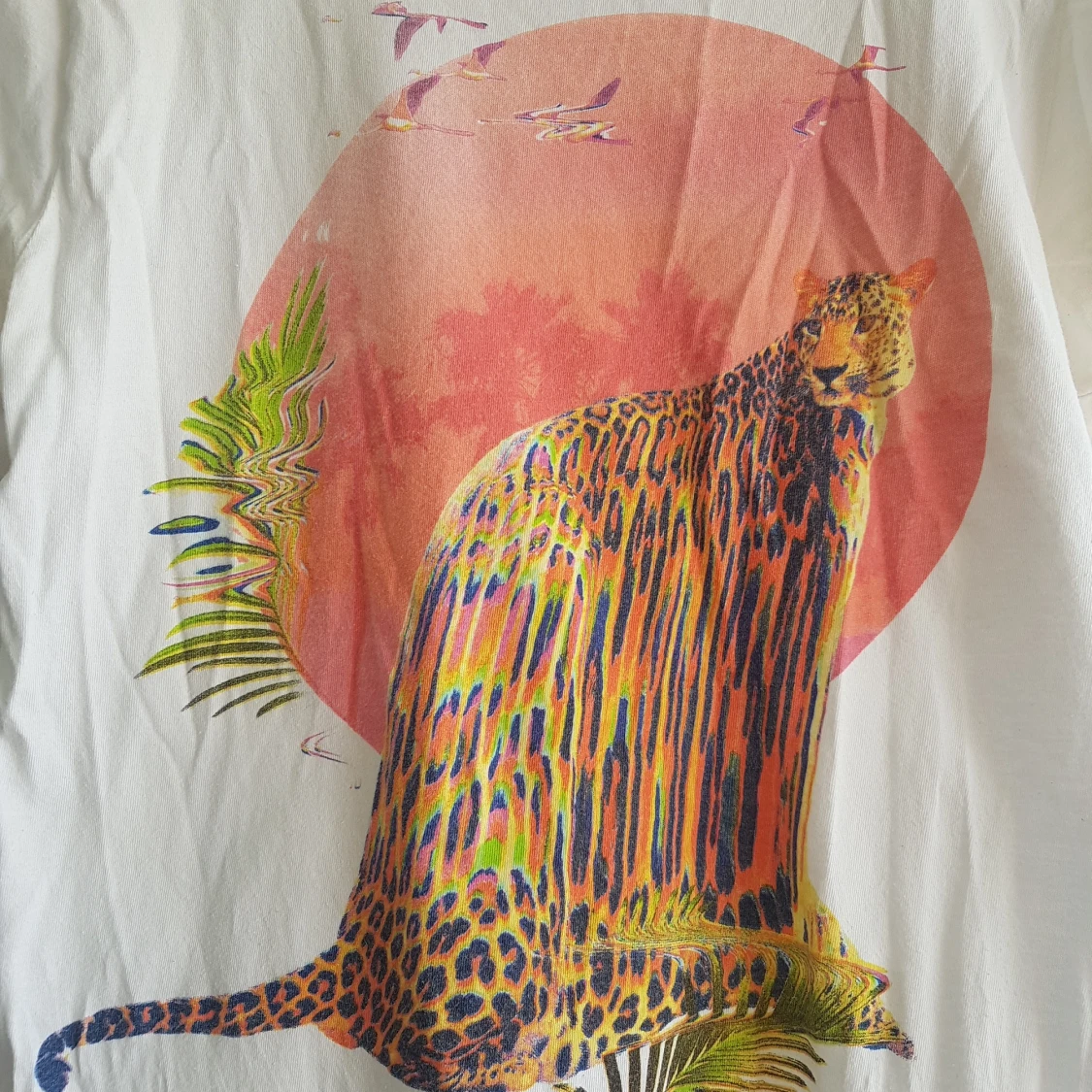 Cool t-shirt från dedicated - 90