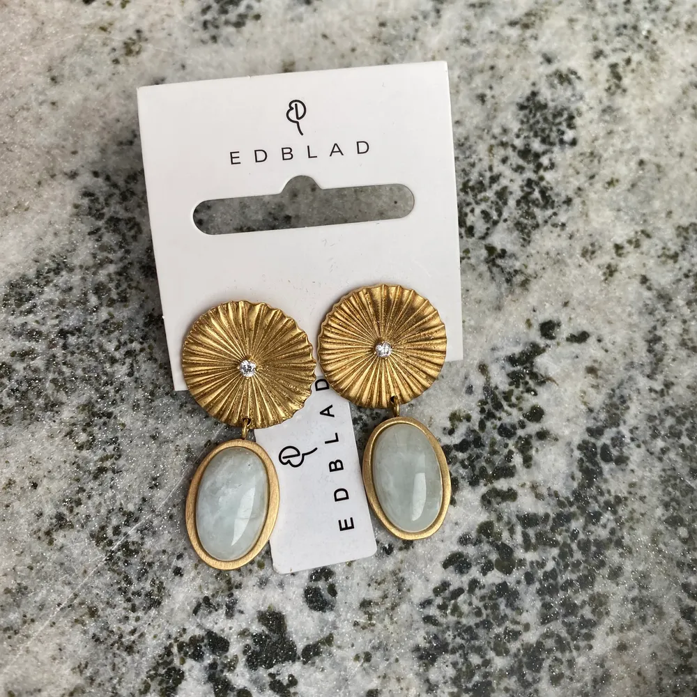 Såå vackra örhängen från Edblad, helt oanvända! Blev så kär i dem men har tyvärr bara inte kommit till användning hos mig 💞. Accessoarer.