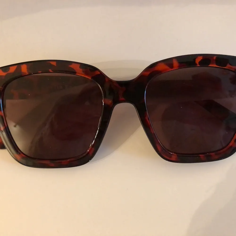 Solglasögon från Corlin Eyewear i modellen Modena Brown. Helt nya. Nypris 699 kr.. Accessoarer.