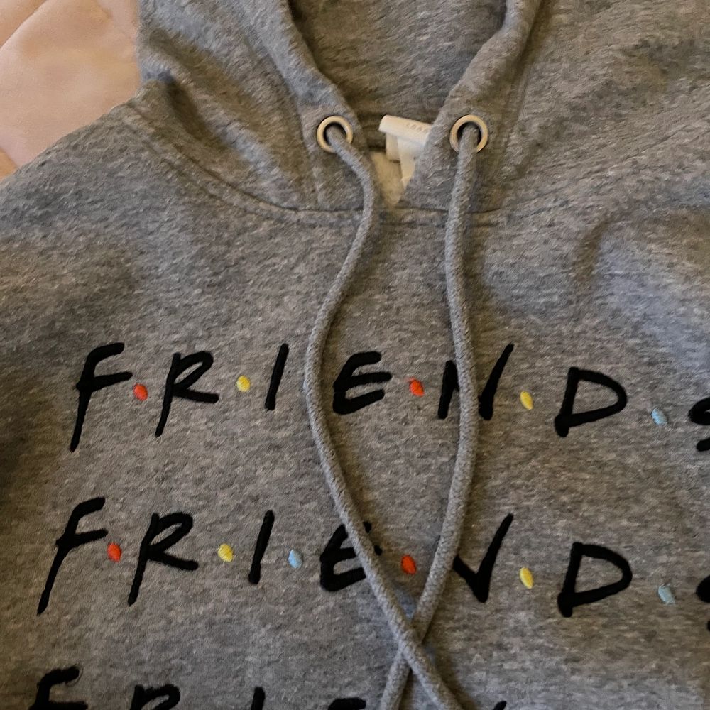 Fin hoodie , fint skick , billig pga frakt . Huvtröjor & Träningströjor.