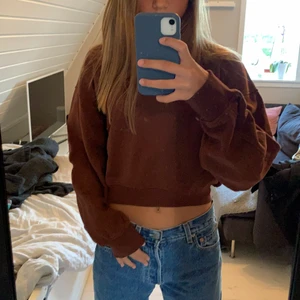 Tröja zara - Brun tröja köpt i vintras på zara. Helt oanvänd, tyvärr.