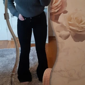Svarta bootcut jeans från Dr.Denim  - Helt nya jeans ifrån Dr.Denim i storlek S men väldigt stretchiga så skulle möjligtvis passa en M också! Dom är i längd 32.💕  Dom var tyvärr för långa för mig som är 160 men skulle säg att dom passar någon som är 165! Dom är helt nya och oanvända!💓
