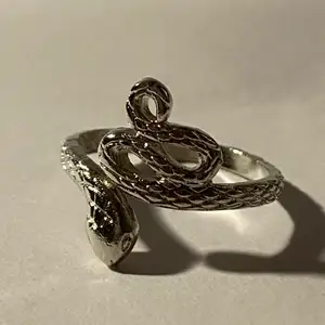 Silverring i form av en orm.