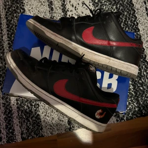 nike sb dunk shrimp - letar nu byten på mina nike dunk shrimp 2012 som är i helt okej skick för sin ålder. skorna kommer med lådan doch inte alla sko snören. byten som är intressant är andra dunks, nike, jordan.