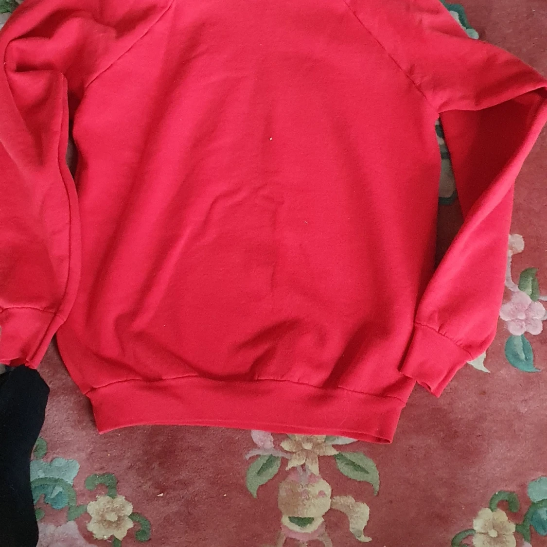 Unisex tröja home of flying pigs - 91