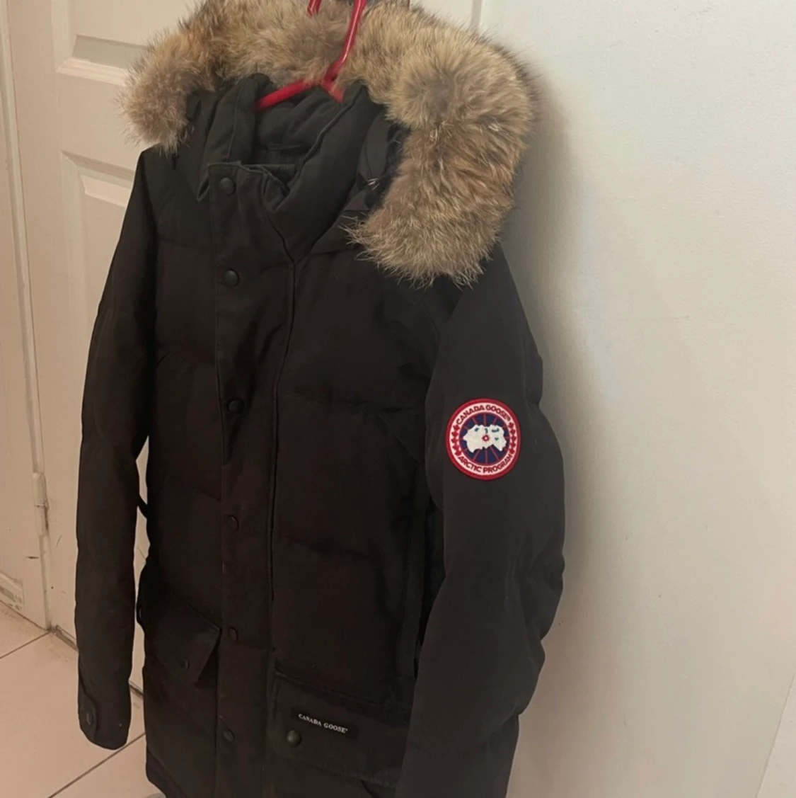 Canada Goose