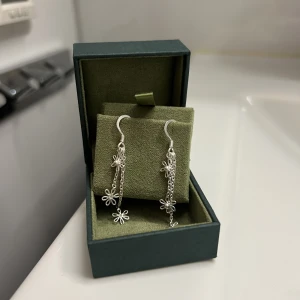 Silvriga långa örhängen - Jättefina silverörhängen!!  Knappt använda då jag endast använder guld❤️