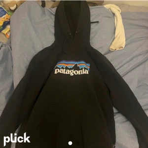 Patagonia hoodie  - En Hoodie i nyskick, köpt för 800 kr säljs för endast 200 kr 💗