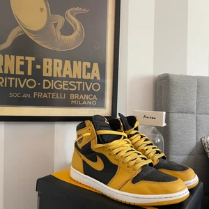 Jordan 1 High Pollen  - Jordan 1 high Pollen!! Cond 7/10 använt en del men bra skick, orginalbox medföljds + vita och svarta skosnören. Snabb smidig affär så kan priset diskuteras! 🤩