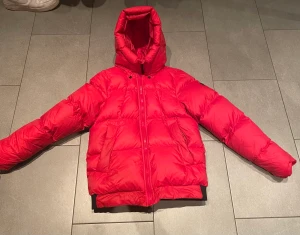 Peak Performance dunjacka - Peak Performance dunjacka. Använd fåtal gånger då den är för liten för mig. Riktig skön och varm jacka. 