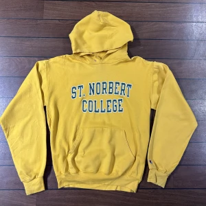 Champion St Norbert College Hoodie - Snygg vintage Champion Hoodie i storlek S!         Använd gärna Köp nu!     Bara o skriva om du undrar över något🙏