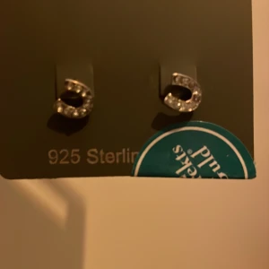 Örhängen  - Ett par silvriga örhängen från alberts guld köparen står för frakten 