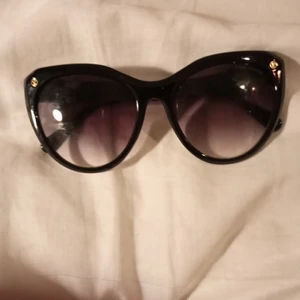 LV solglasögon med tonade glas - Använda enstaka gånger och de är supersnygga