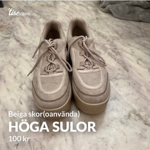 Skor - Säljer dessa skor för 100kr och gratis frakt , dom är inte ens ingåda så dom är helt nya 