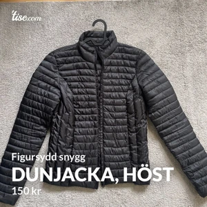 Dunjacka - Figursydd 