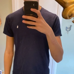 Polo Ralph lauren t-shirt  - Polo Ralph lauren t-shirt i mycket bra skick i färgen blå och Storlek S 