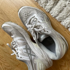 Asics  - Skor från Asics synligt använda därav priset!   Storlek 37!