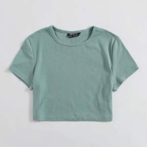 En grön ti- shirt. Storlek S. Köpte för 40 kronor, säljer för 20 kronor. Använt fåtal gånger.