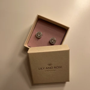 Helt nya örhängen - Aldrig använda