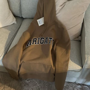 Axel arigato hoodie! ny! - Säljer min killes Axel arigato storlek M! Den har inte kommit till användning och är helt ny med etikett på! Köptes för 1300kr säljs för halva priset. Kan hämtas i Jönköping eller motala