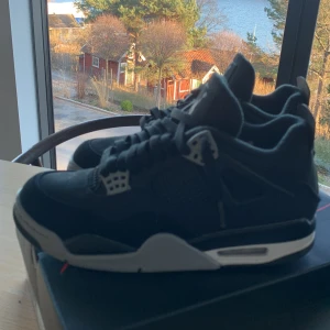 Jordan 4 Black Canvas - Säljer nu mina Jordan 4 Black Canvas i storlek 42. Skorna är använda ett fåtal gånger. För fler bilder är det bara att fråga.  Nypris ligger på ungefär 4000 kr. 
