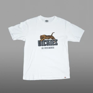 Dickies  - Dickies (M)