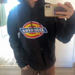 Fin dickies hoodie i storlek S,använd men ändå fint skick