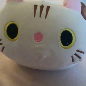 Söt Katt Plushie🐈💞🌷 - Supersöt och mjuk finis🥹💕 Kudde/gosedjur formad som en liggande katt - så MYSIG att ha i sängen 🥰 Inga skador eller fläckar någonstans ☺️ Passar jättebra tillsammans med kattsittkudden - kolla in min profil! 😊 📦 Skickar inom kort! 