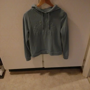 Ljusblå hoodie med broderad text - Säljer en ljusblå hoodie med broderad text på bröstet. Tröjan har huva med snörning och långa ärmar. Perfekt för dig som gillar en chill och enkel stil. Mjuk och skön, passar till många outfits.