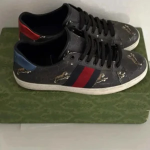 Gucci ace skor - Säljer ett par feta Gucci ace skor i en väldigt ovanlig color way. Storleken är 42,5! Nypris 8000 mitt pris endast 2000! 2000 är dom billigaste Gucci acen med just den här color way. Box, kvitto medföljer! Vid fundering eller annat hör av dig! Vid snabb affär kan pris diskuteras!