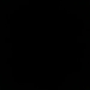 VÄSTERÅS CITYFESTIVALEN - Söker en lördag och en fredags biljett till Västerås city festivalen. 3 dagars biljett är även något som är intressant