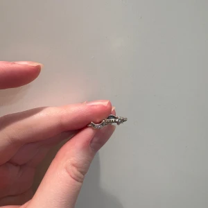 Örhängen Pandora  - Säljer mina fina örhängen från Pandora då jag är guldtjej! Mycket fint skick köptes för 650 kr 